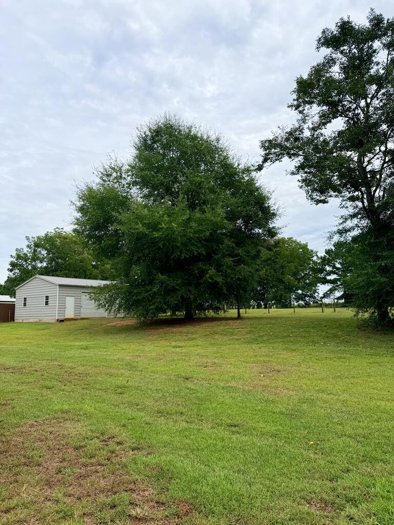 1077 Hill Top Road Newton, AL 36352 - Photo 29 of 30 Gallery Image 29