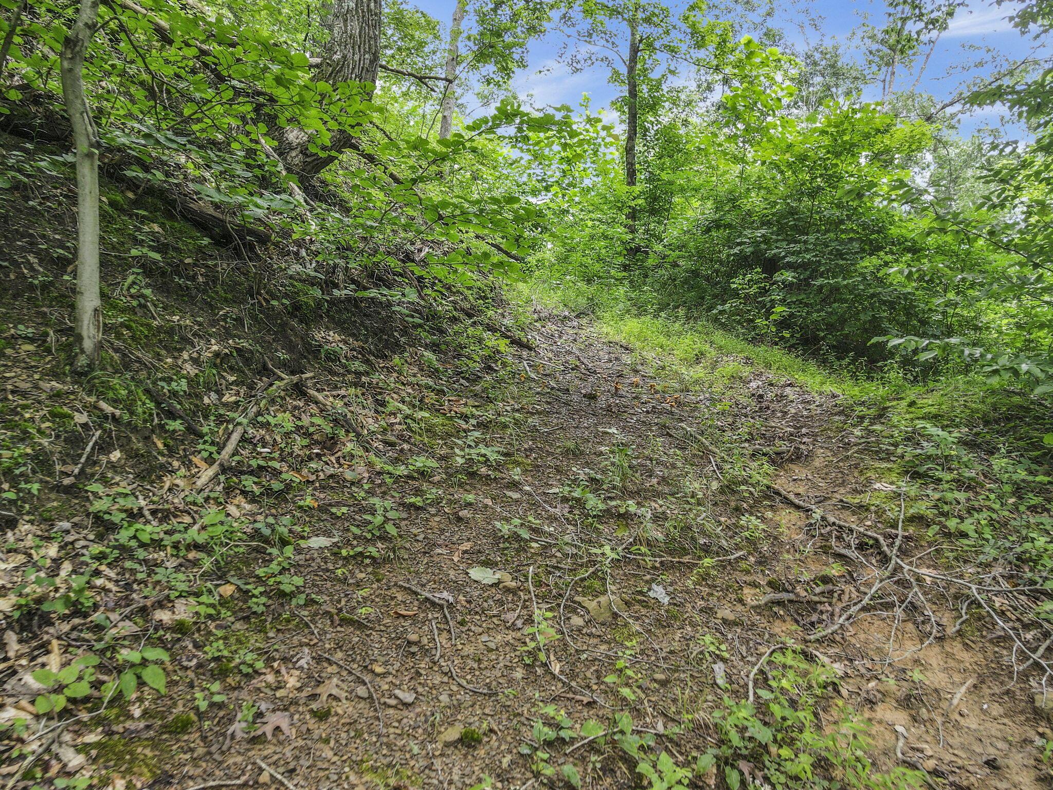 0 Greens Run Road Glouster, OH 45732 - Photo 81 of 121 81-web-or-mls-DJI_0330