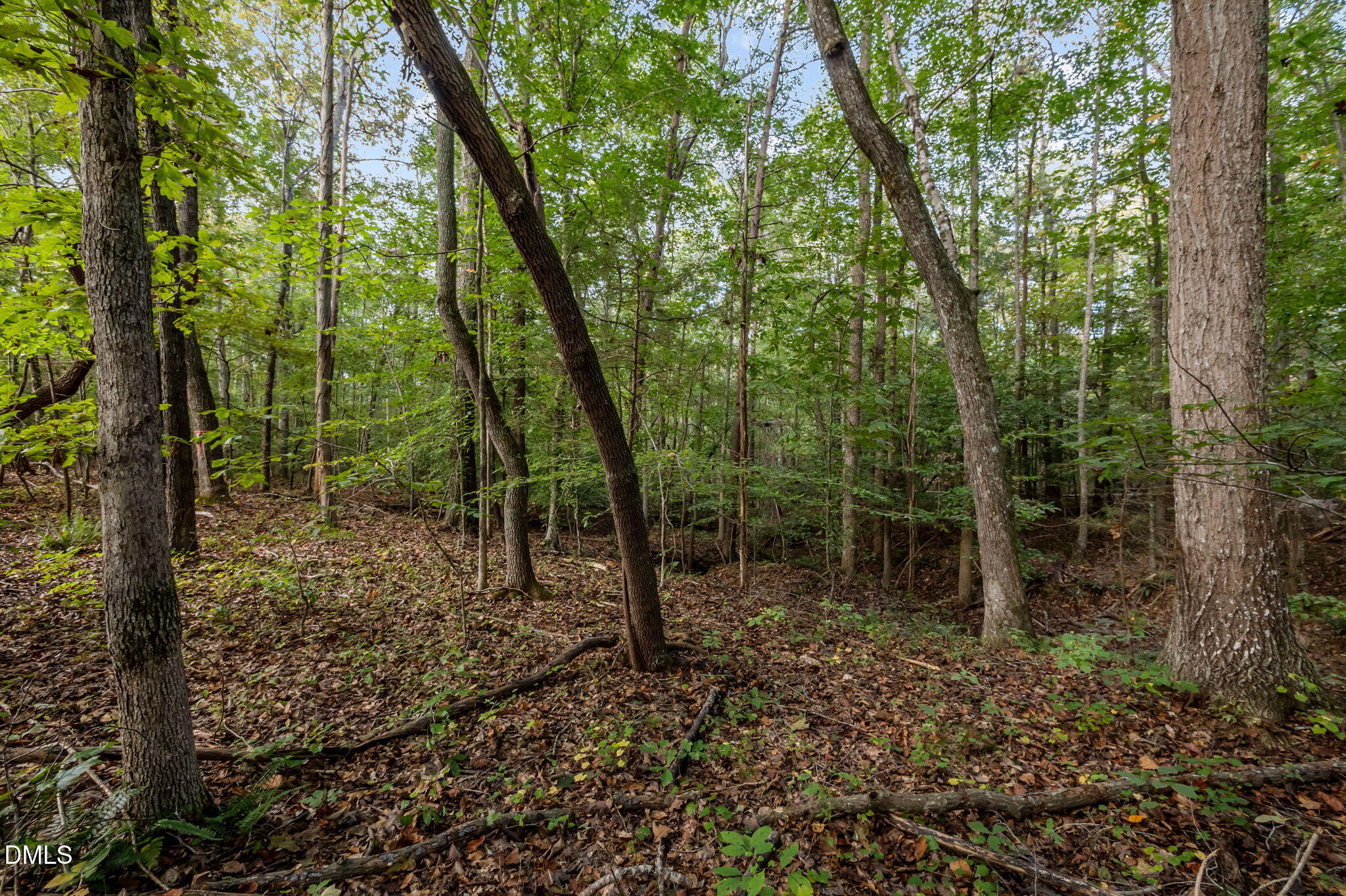 9400 Wheelers Church Road Cedar Grove, NC 27231 - Photo 95 of 96 29-web-or-mls-P1086512