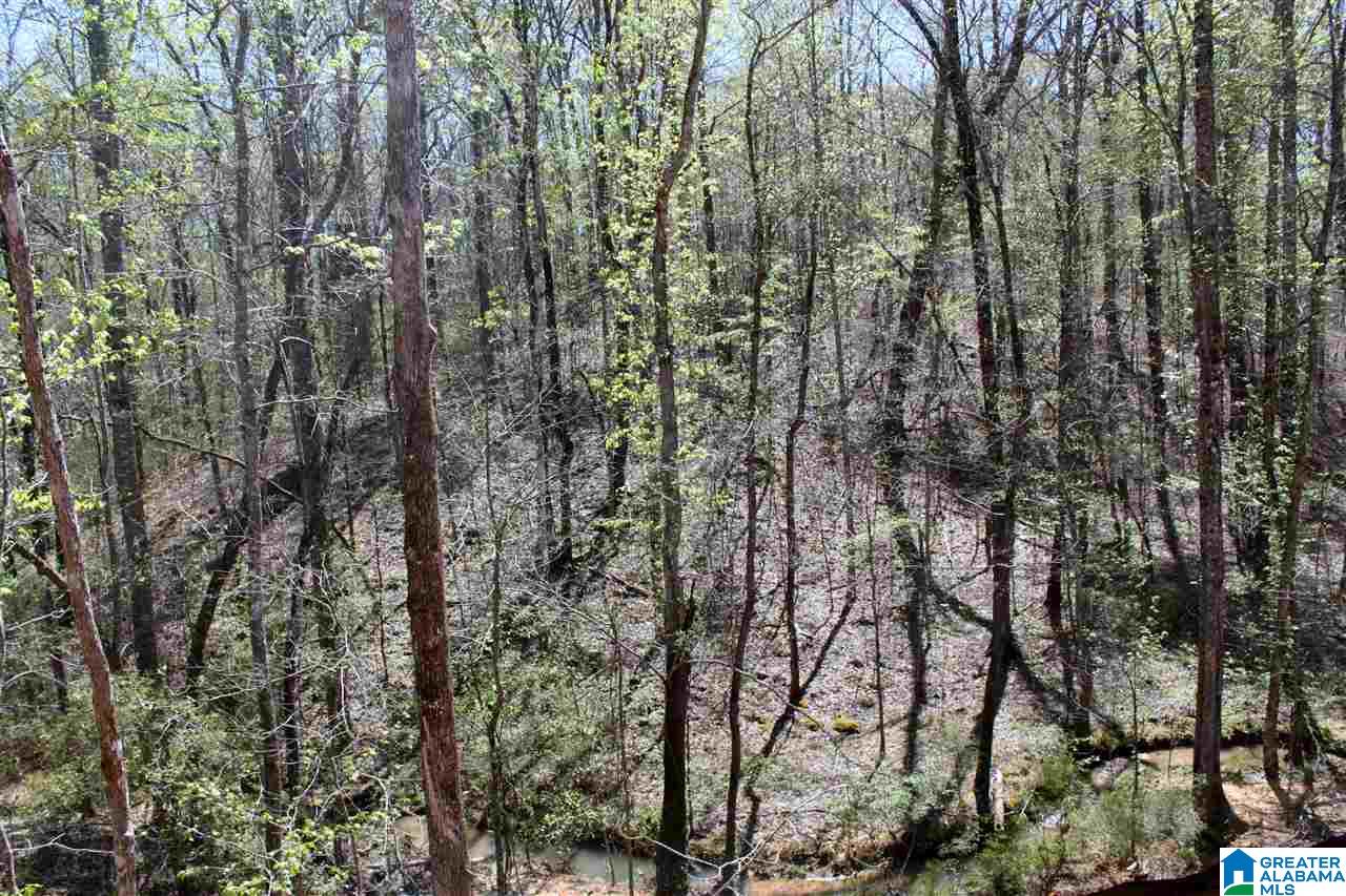 121 Highland Ridge Drive Chelsea, AL 35043 - Photo 33 of 37