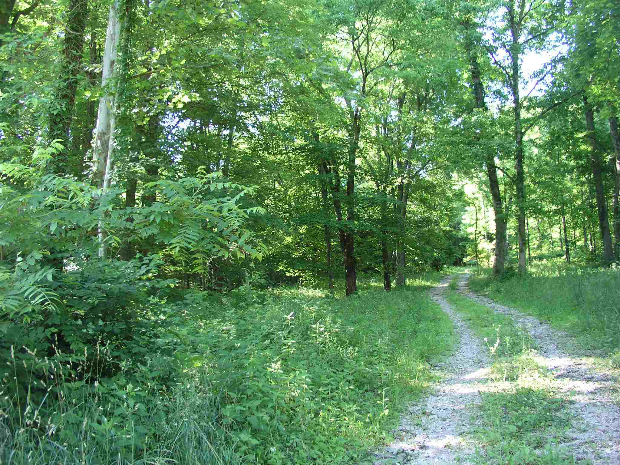 Bryantsville Road Mitchell, IN 47446 - Photo 1 of 4