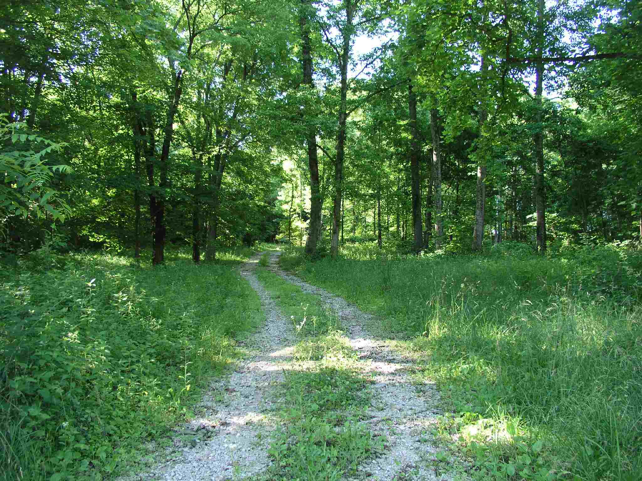 Bryantsville Road Mitchell, IN 47446 - Photo 2 of 4