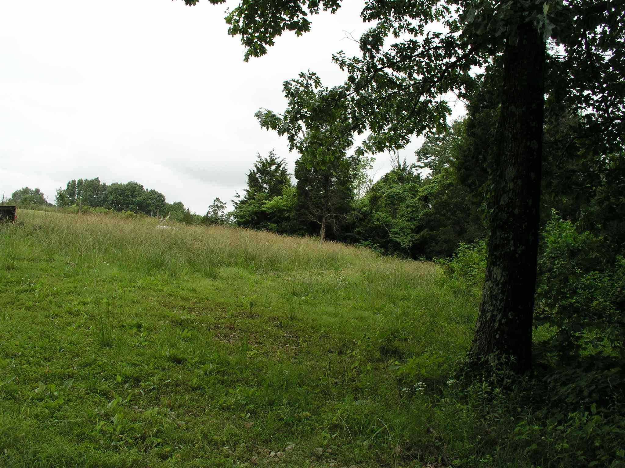 Bryantsville Road Mitchell, IN 47446 - Photo 3 of 4
