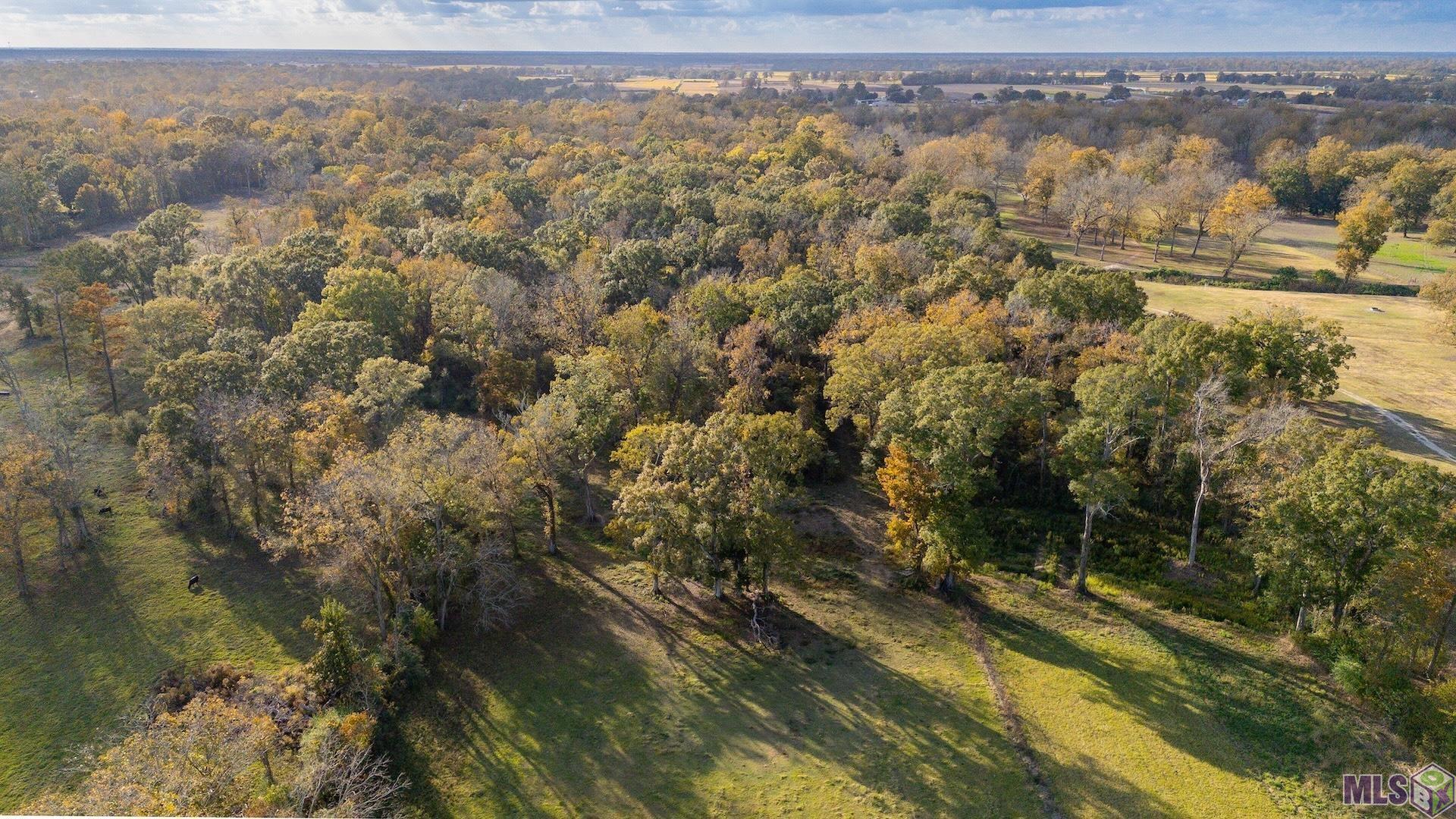 6255 Rougon Road Port Allen, LA 70767 - Photo 3 of 7