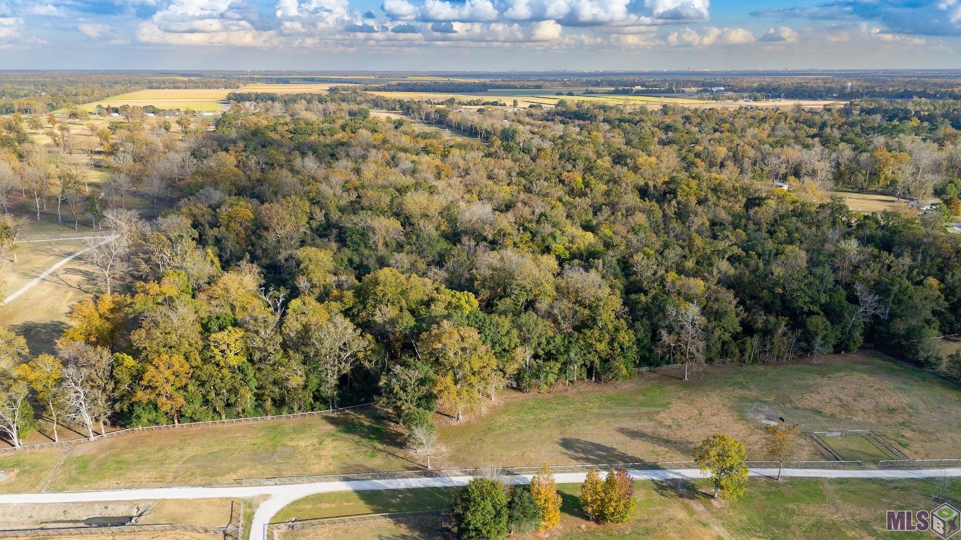 6255 Rougon Road Port Allen, LA 70767 - Photo 4 of 7