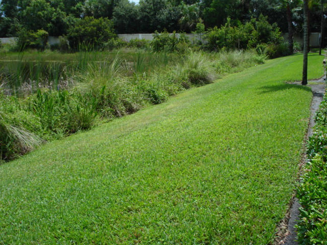 7535 Southwest Herrington Lane, Unit 1277 Stuart, FL 34997 - Photo 17 of 26 Backyard