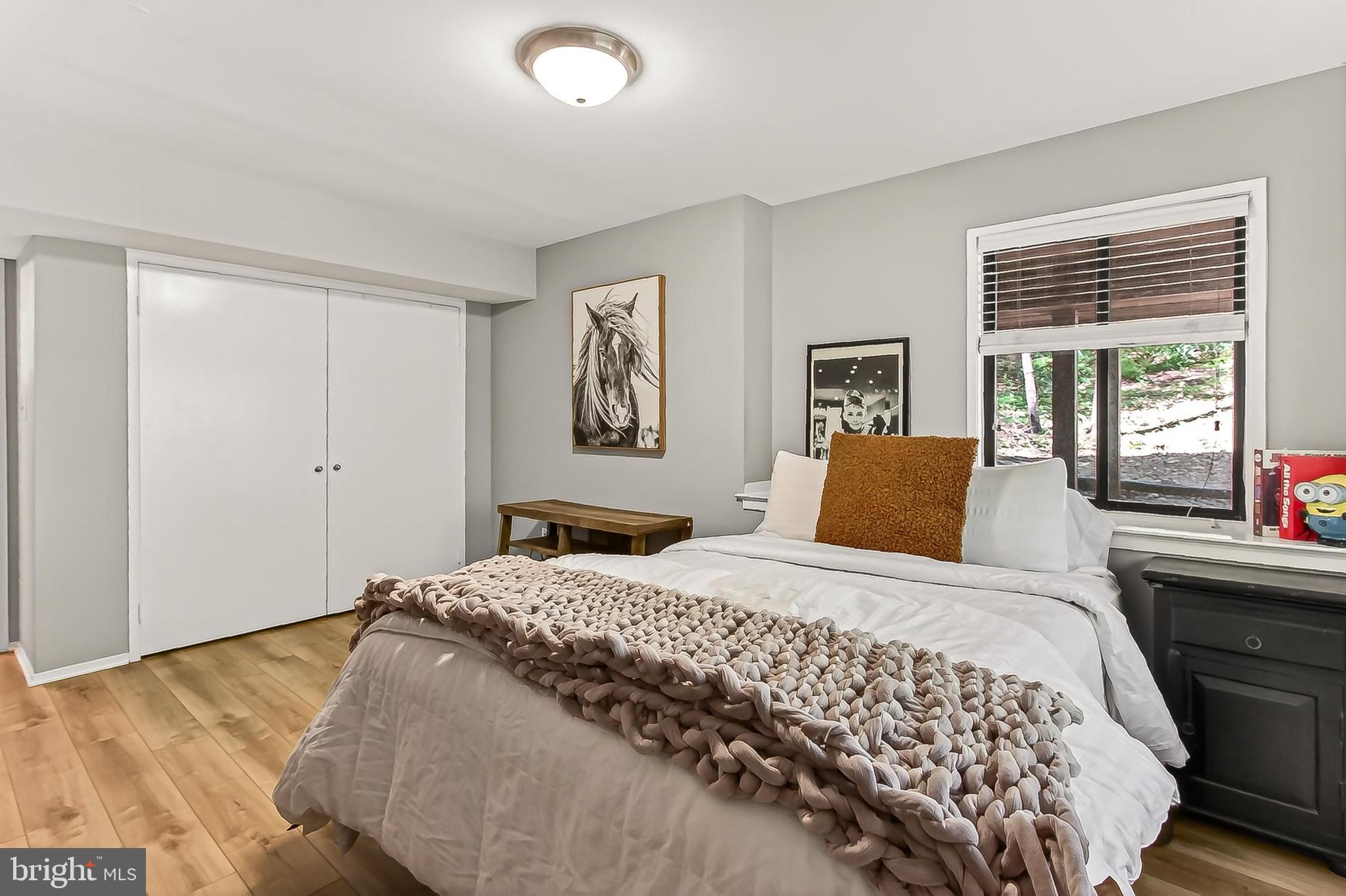10714 Midsummer Drive Reston, VA 20191 - Photo 53 of 60 Lots of closet space!