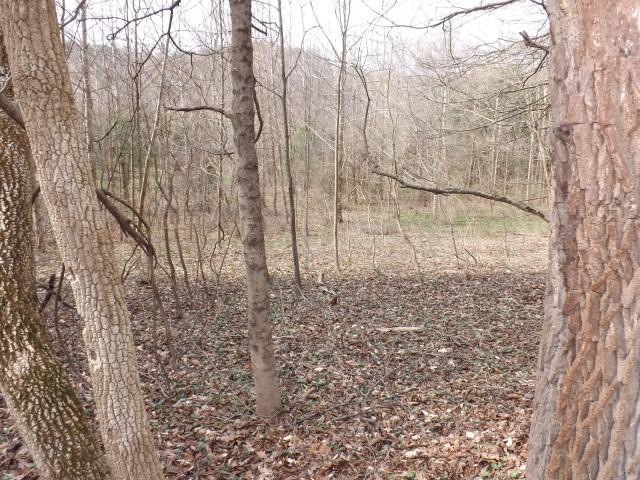 0 Murphy Road Rockbridge, OH 43138 - Photo 3 of 11