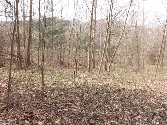 0 Murphy Road Rockbridge, OH 43138 - Photo 5 of 11