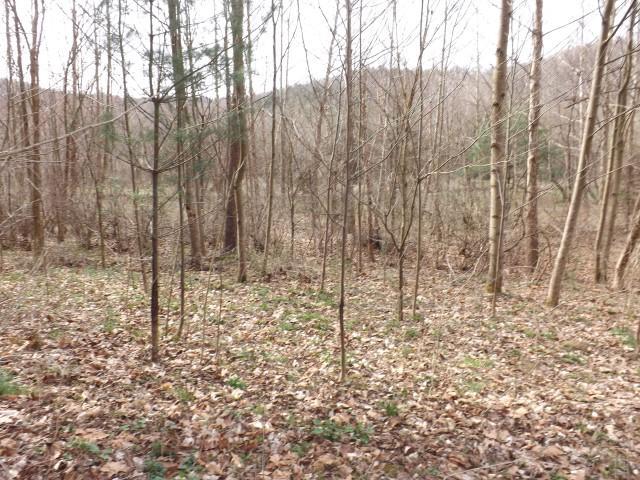 0 Murphy Road Rockbridge, OH 43138 - Photo 7 of 11