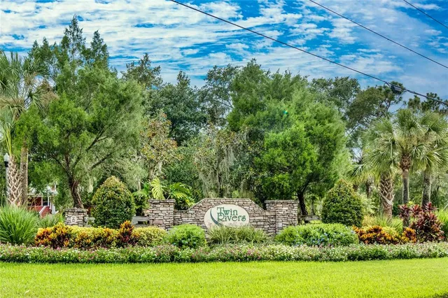 a view of a park with large trees