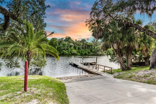 a small garden covered with tall trees