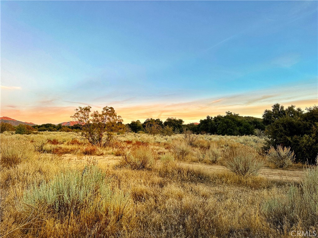 30415 Chihuahua Valley Road Warner Springs, CA 92086 - Photo 29 of 75