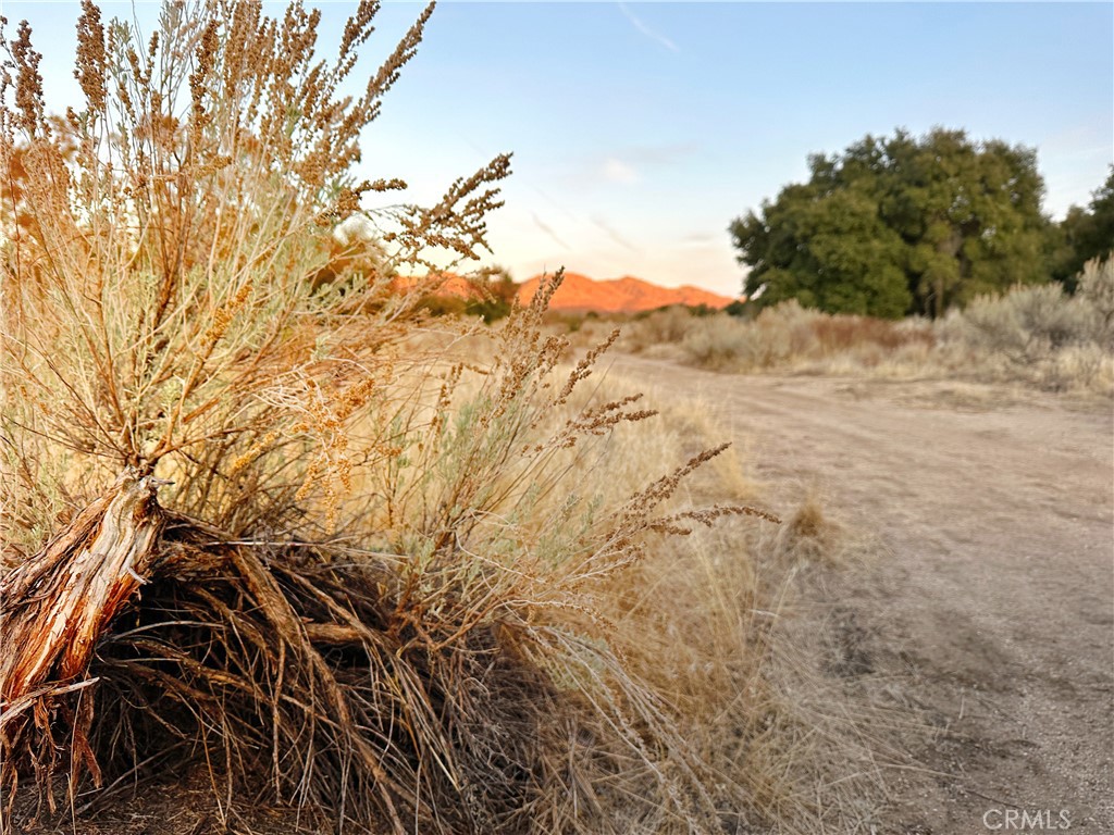 30415 Chihuahua Valley Road Warner Springs, CA 92086 - Photo 44 of 75