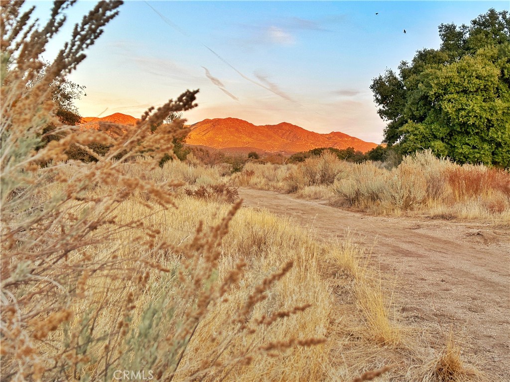 30415 Chihuahua Valley Road Warner Springs, CA 92086 - Photo 45 of 75 a view of a dry yard with mountains in the background