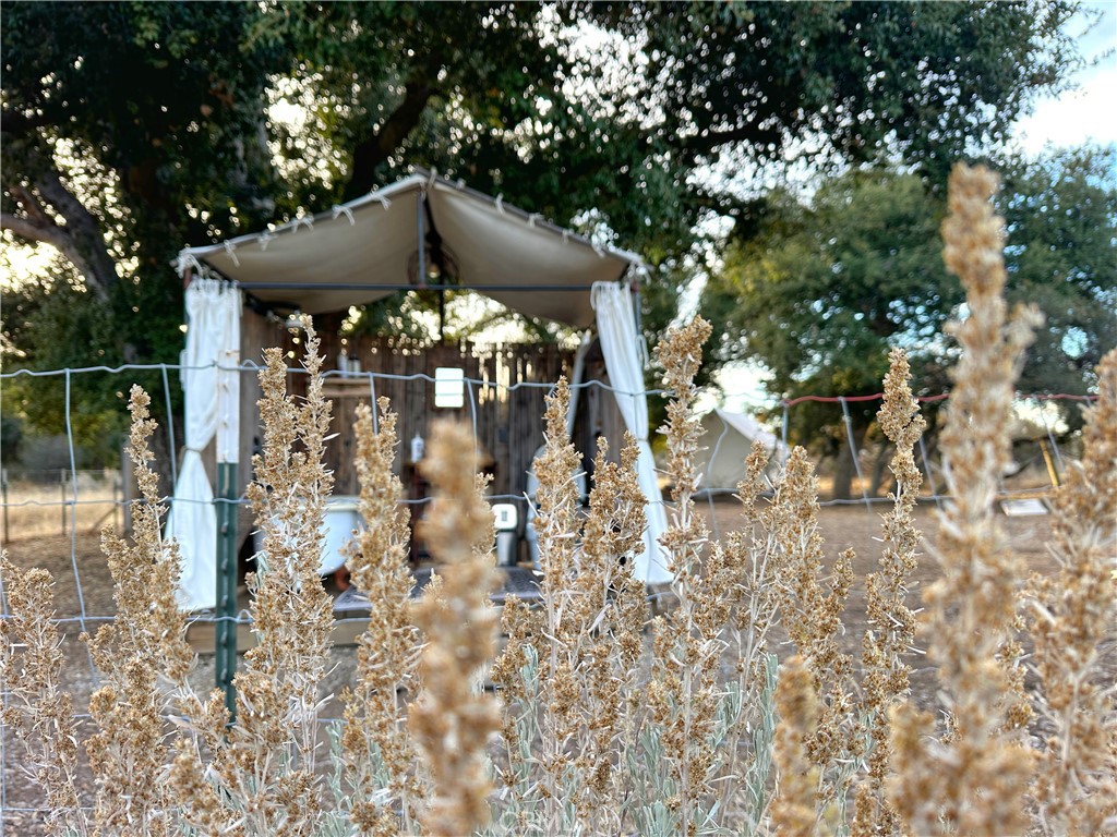 30415 Chihuahua Valley Road Warner Springs, CA 92086 - Photo 50 of 75 a view of a pathway with a tree