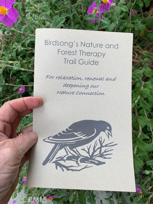 30415 Chihuahua Valley Road Warner Springs, CA 92086 - Photo 64 of 75 a view of a table and chairs in front of a house