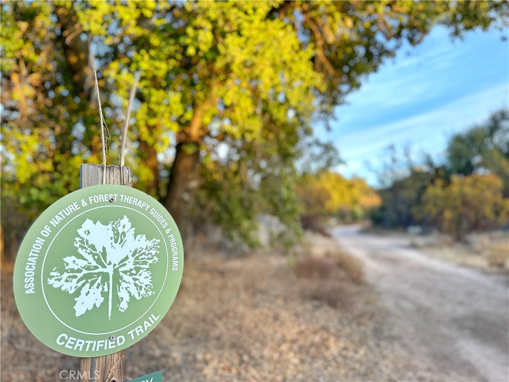 30415 Chihuahua Valley Road Warner Springs, CA 92086 - Photo 65 of 75