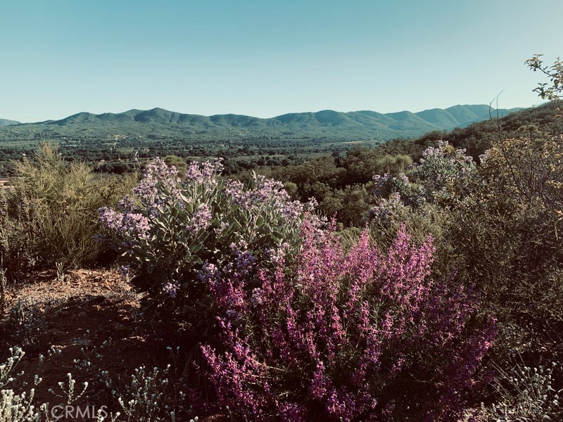 30415 Chihuahua Valley Road Warner Springs, CA 92086 - Photo 66 of 75