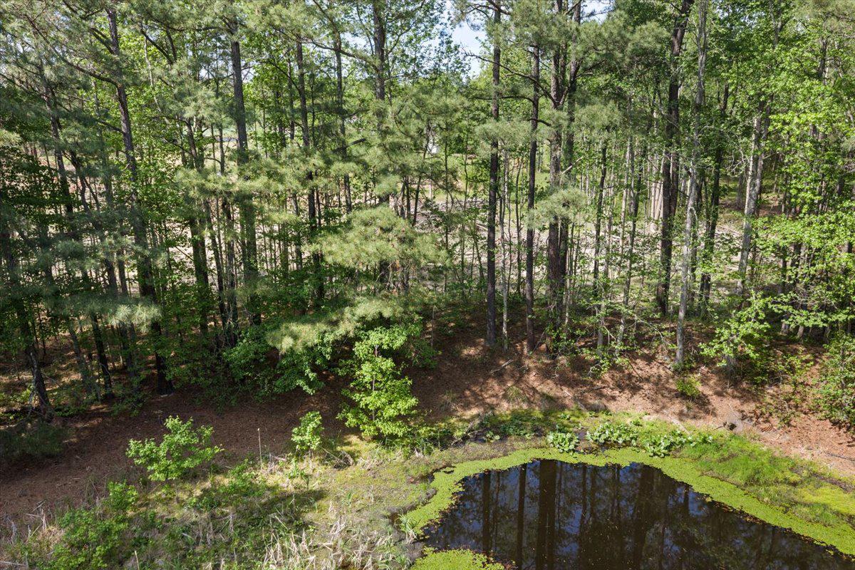 Lot 96 Sturgeon Road Lawrenceville, VA 23868 - Photo 3 of 23