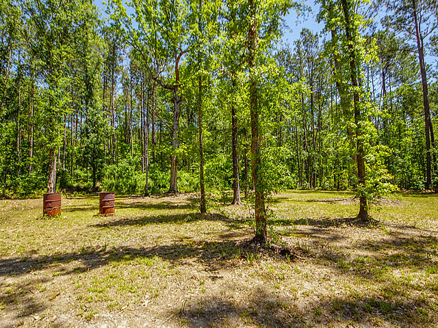 249 Barons Road Summerville, SC 29483 - Photo 29 of 33 29