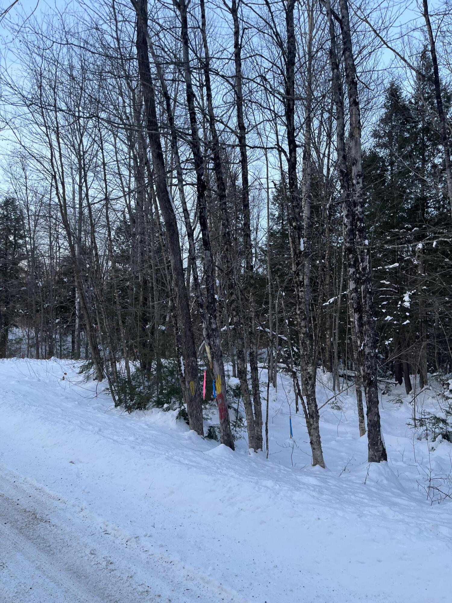 L14 Concord Pond Road Bryant Pond, ME 04219 - Photo 4 of 19 IMG_3076