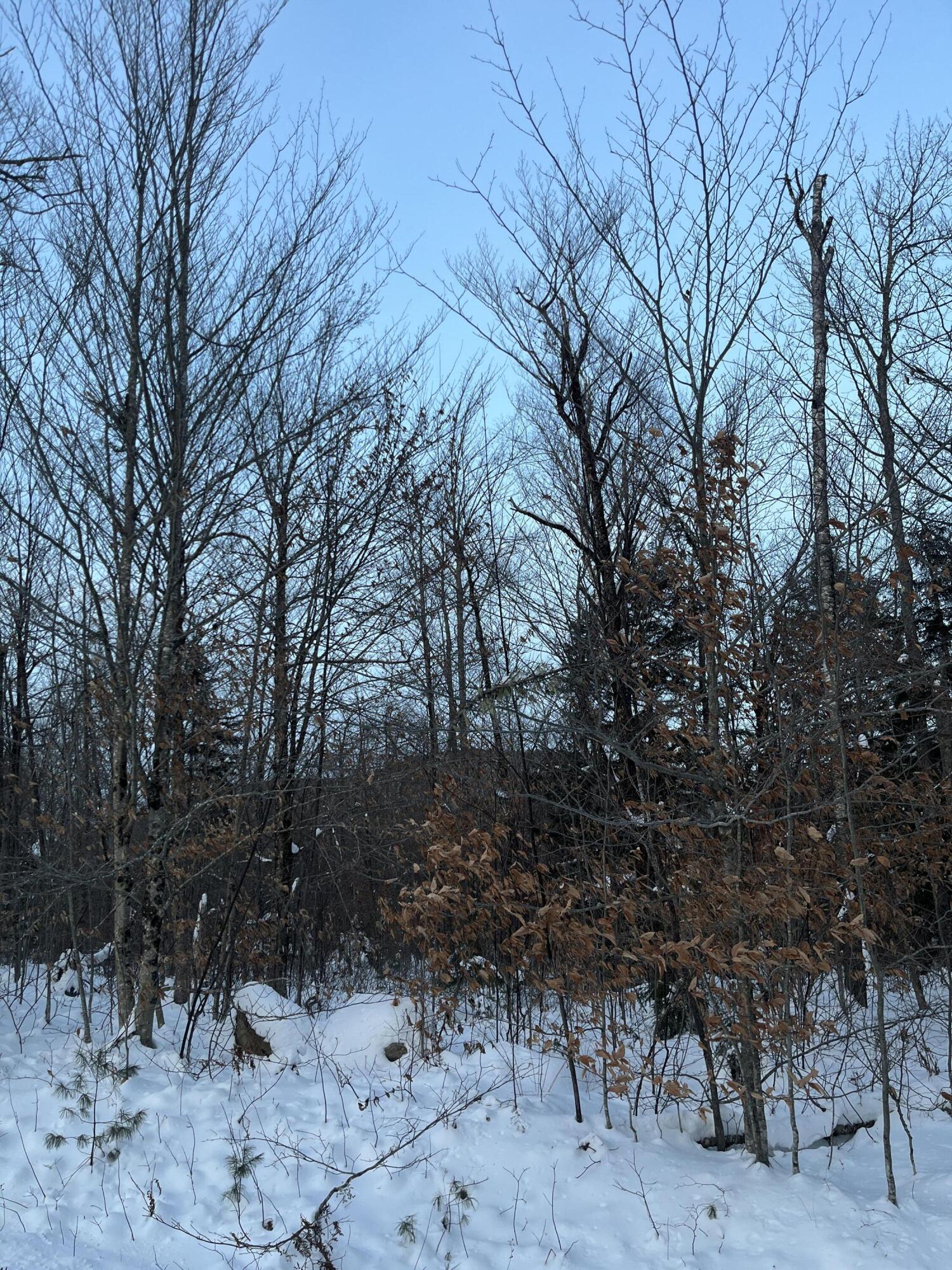 L14 Concord Pond Road Bryant Pond, ME 04219 - Photo 8 of 19 IMG_3079