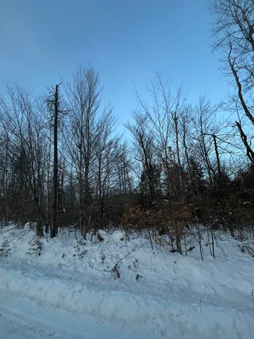 $59,500 | L14 Concord Pond Road, Bryant Pond, ME 04219