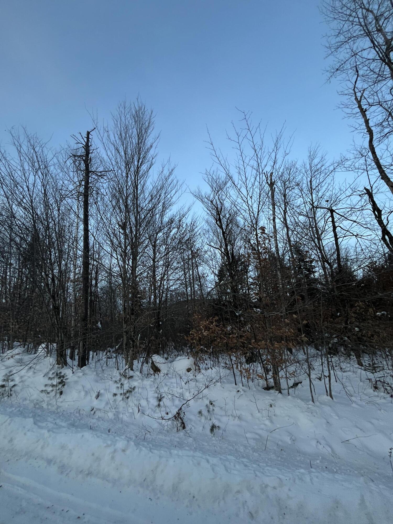 L14 Concord Pond Road Bryant Pond, ME 04219 - Photo 9 of 19 IMG_3080