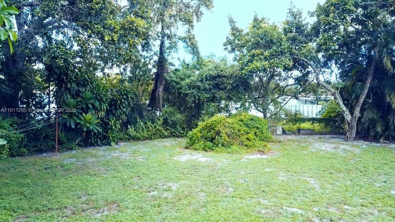 1041 Northwest 150th Street Miami, FL 33168 - Photo 25 of 27 a view of a yard with large trees