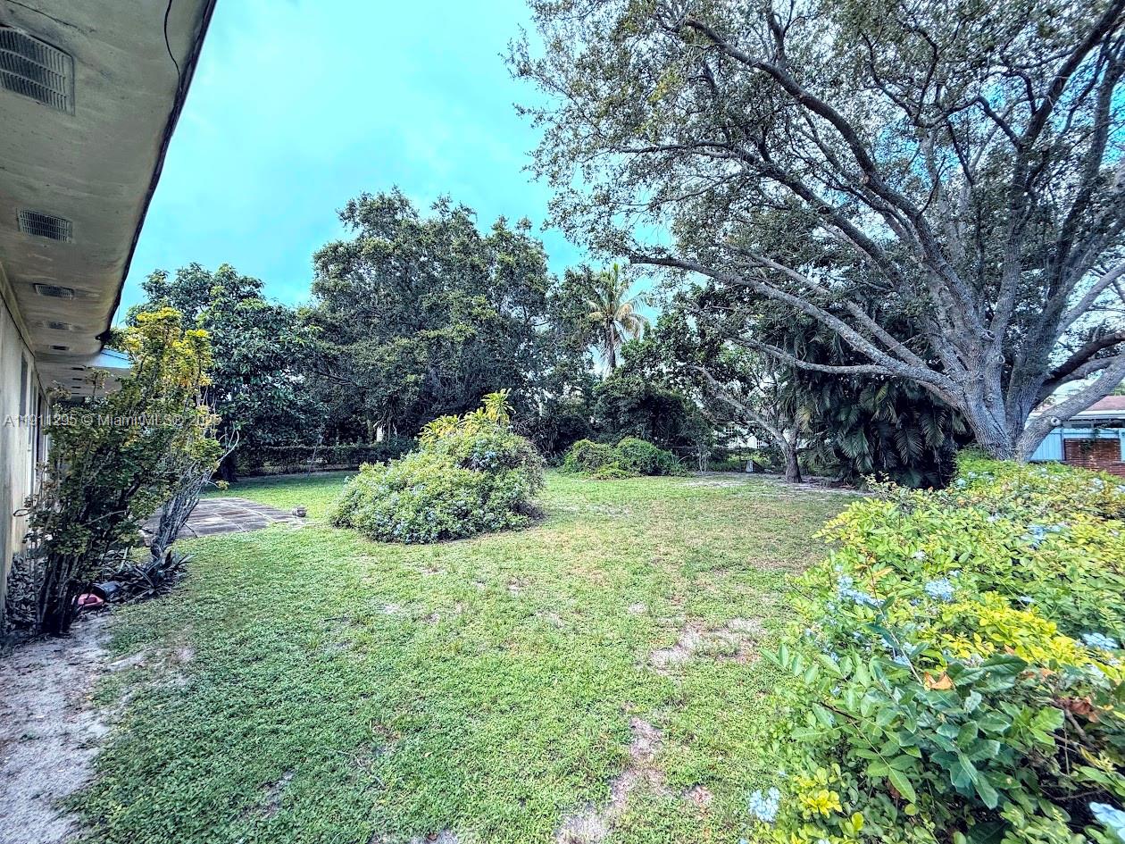 1041 Northwest 150th Street Miami, FL 33168 - Photo 26 of 27 a view of a garden with large trees