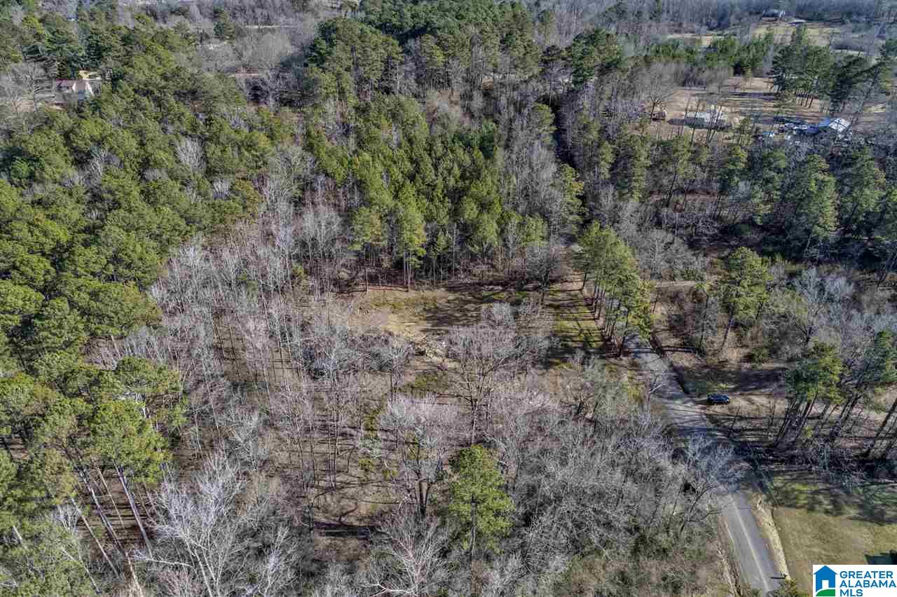 4491 Jim Tate Road Dora, AL 35062 - Photo 9 of 15