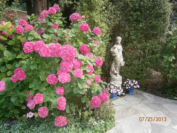 2060 Day Valley Road Aptos, CA 95003 - Photo 27 of 39 Gallery Image 27
