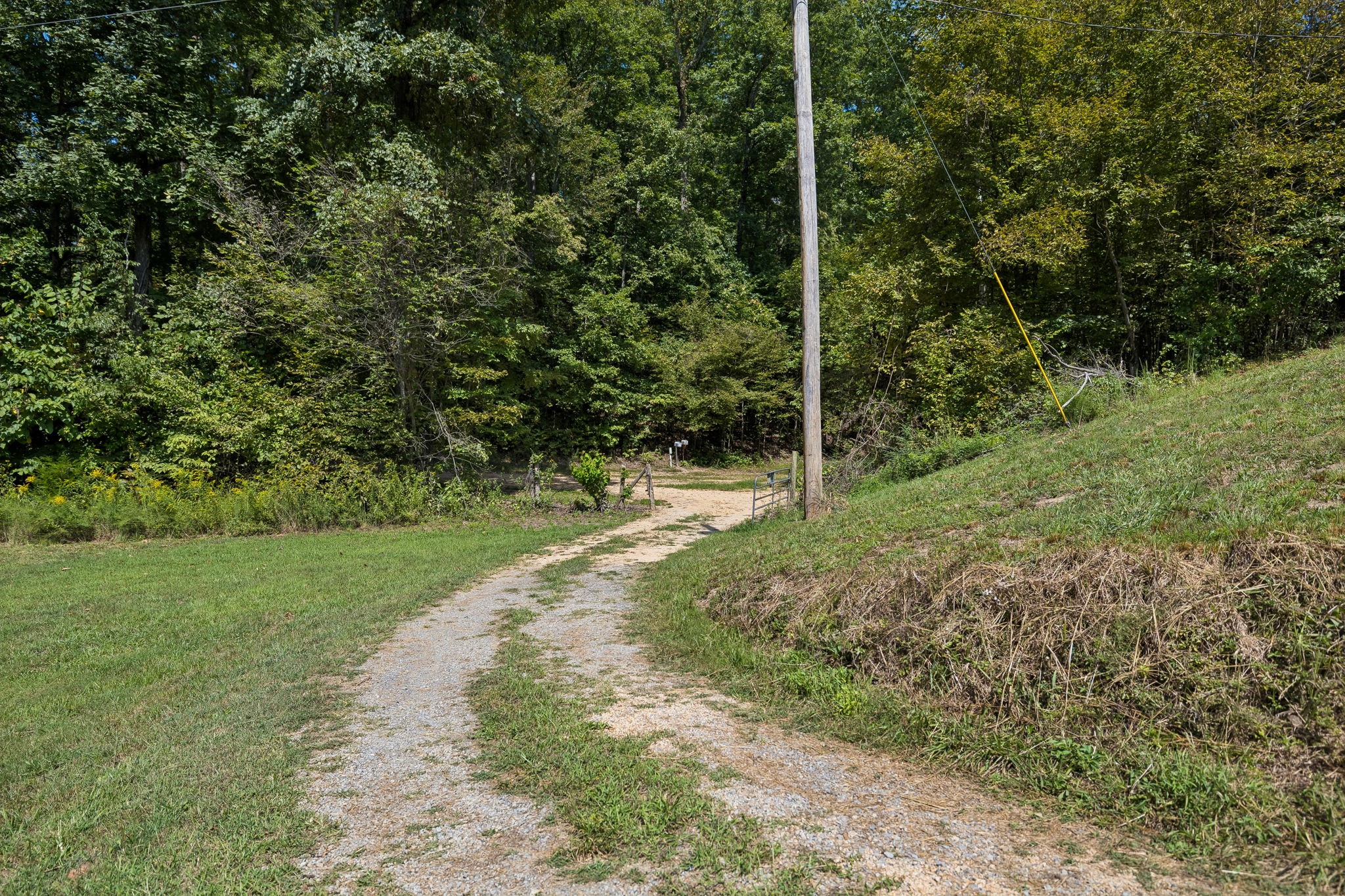1252 Kelly Road Centerville, TN 37033 - Photo 26 of 41 Gallery Image 26