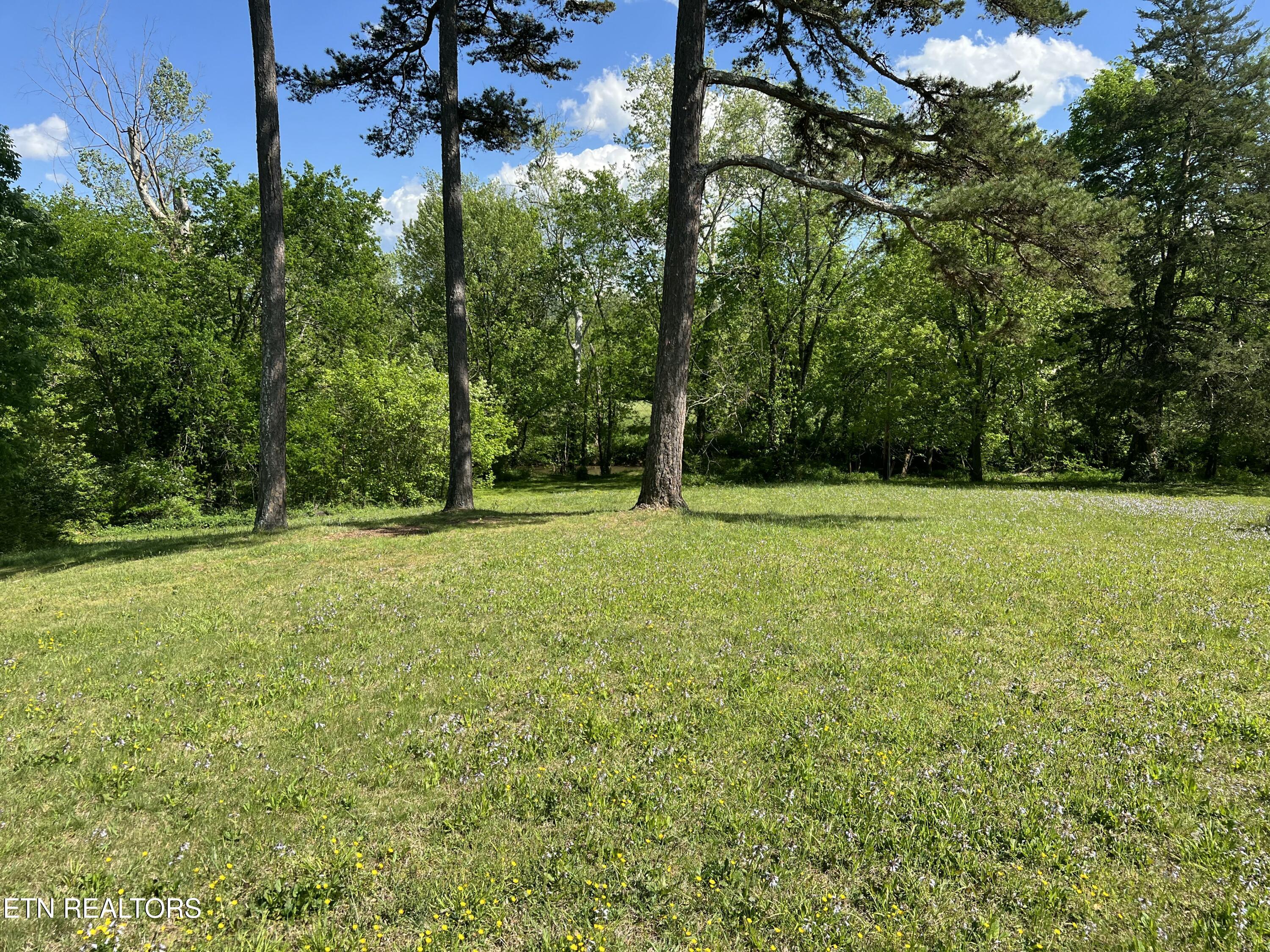 7280 Harrell Road Powell, TN 37849 - Photo 11 of 33 IMG_1619