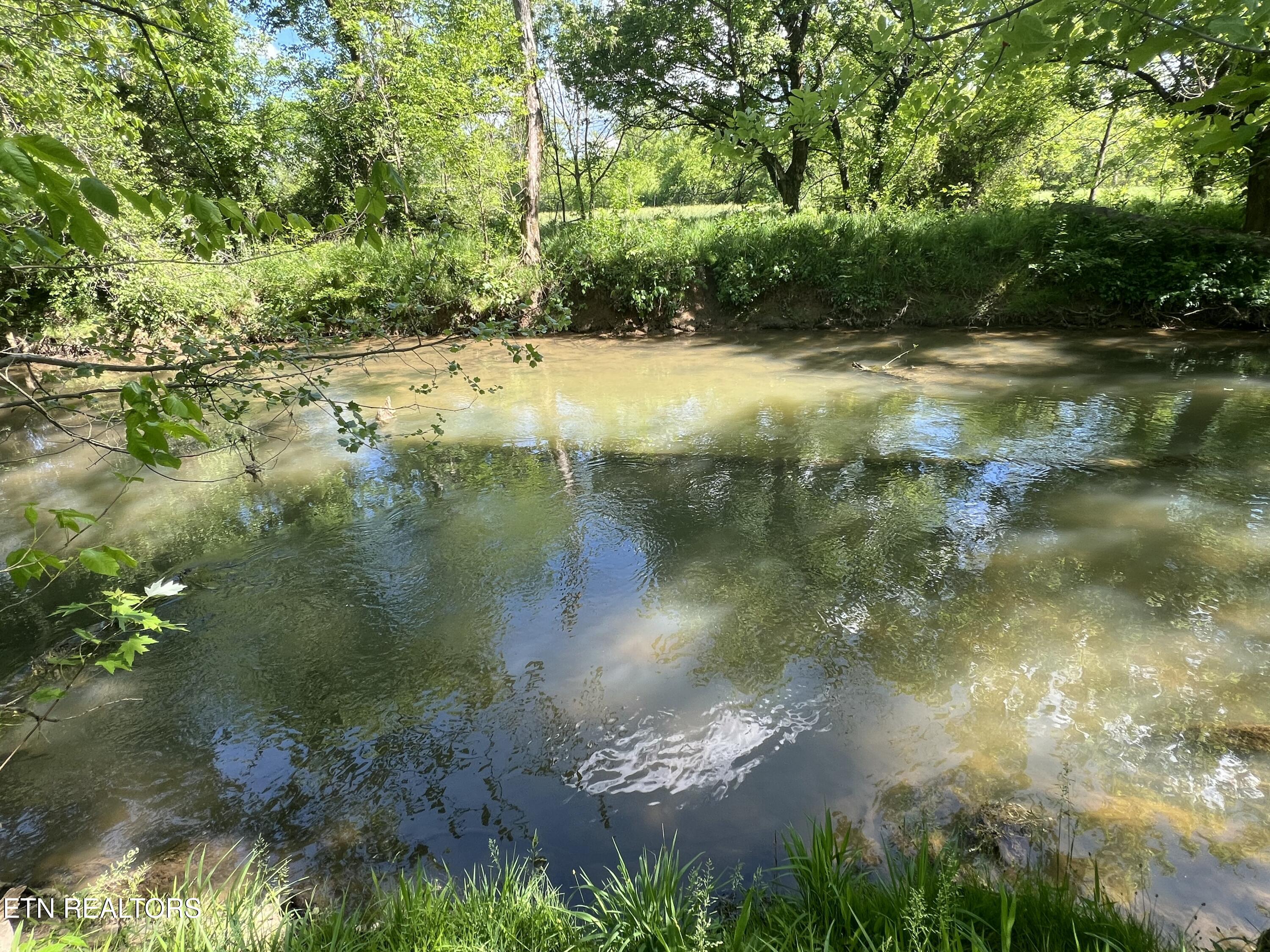 7280 Harrell Road Powell, TN 37849 - Photo 14 of 33 IMG_1623