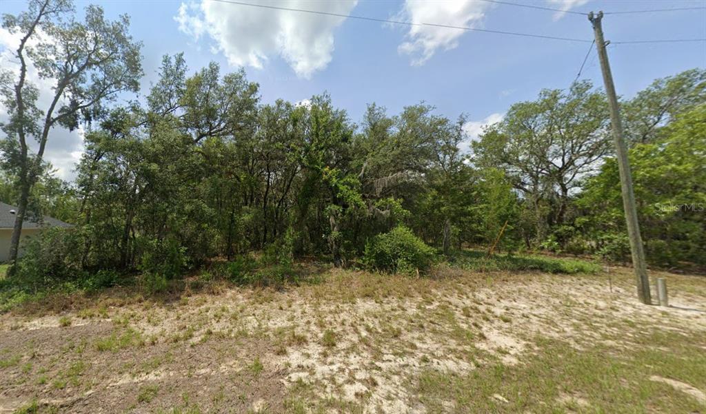 2 Southwest 153rd Lane Ocala, FL 34473 - Photo 1 of 3 a view of outdoor space and garden