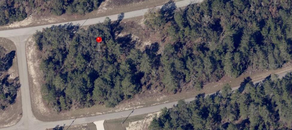 2 Southwest 153rd Lane Ocala, FL 34473 - Photo 3 of 3 a view of a pathway