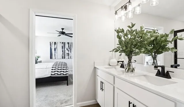 a bathroom with a sink a potted plant and a mirror