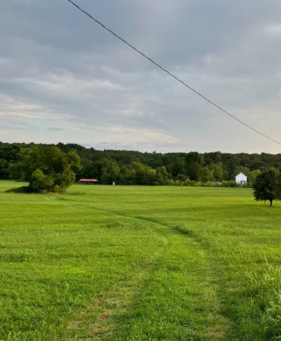 a view of a green field with clear sky