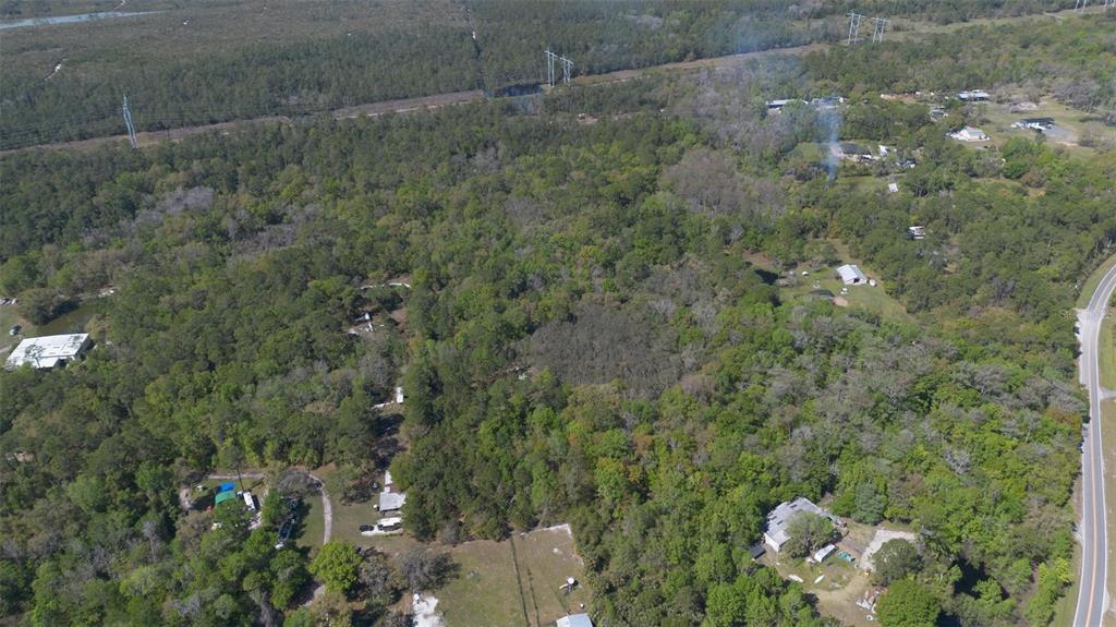 Jungle Road Geneva, FL 32732 - Photo 10 of 21
