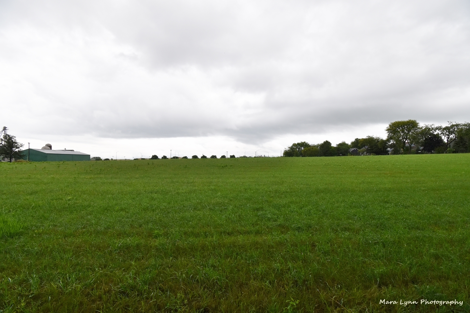 1504 Weber Road St. Charles, IL 60174 - Photo 46 of 46