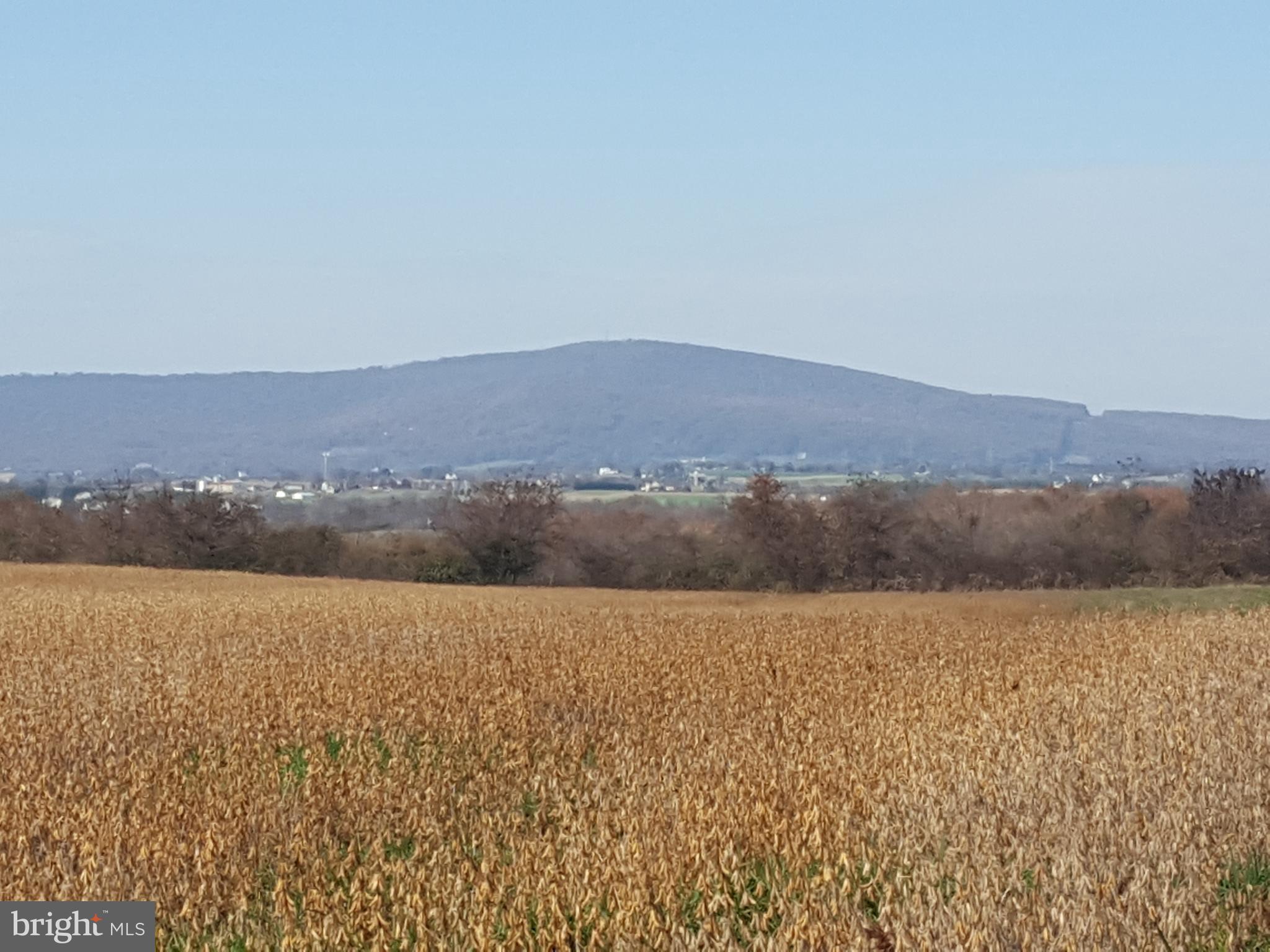 475 Broad Run Road Jefferson, MD 21755 - Photo 1 of 5 View looking north