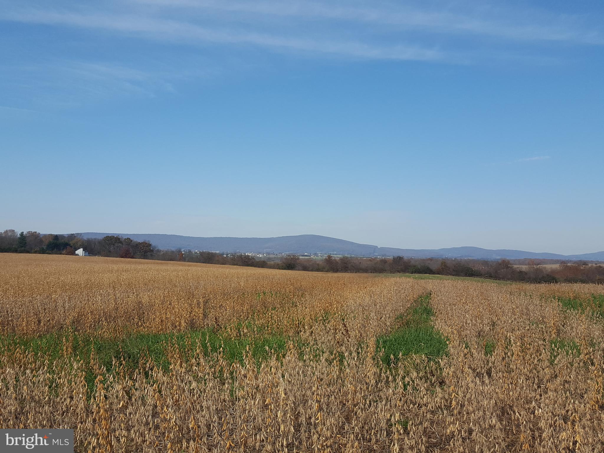 475 Broad Run Road Jefferson, MD 21755 - Photo 2 of 5 View looking west