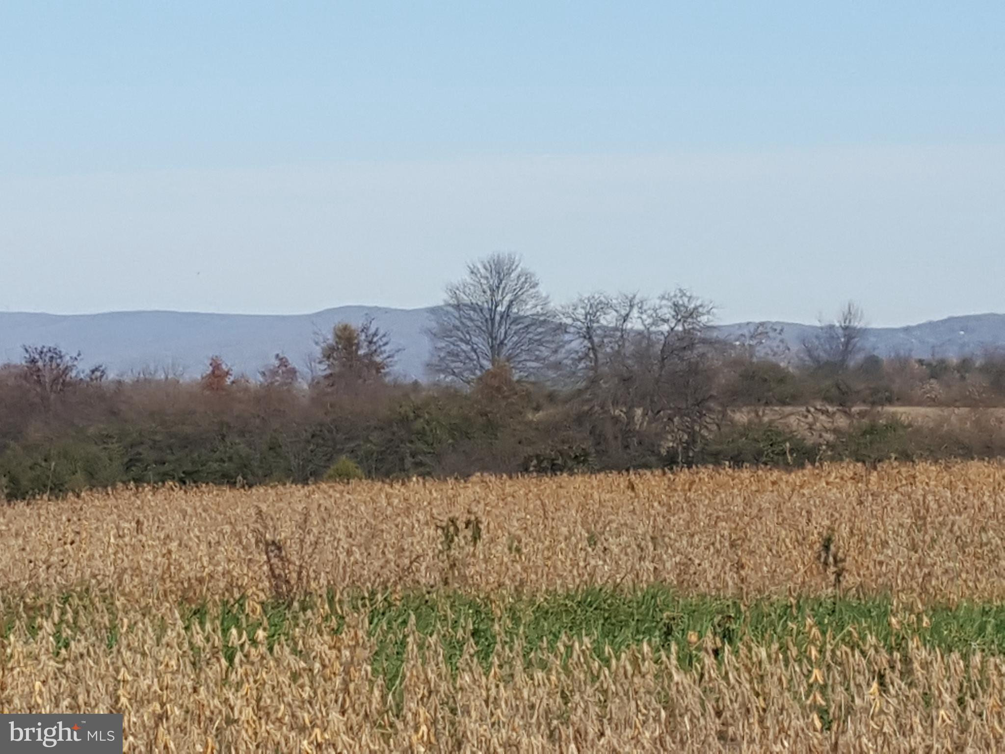 475 Broad Run Road Jefferson, MD 21755 - Photo 4 of 5 View looking east