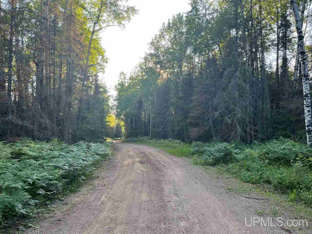 Tbd Tbd Cr Ishpeming, MI 49849 - Photo 7 of 14