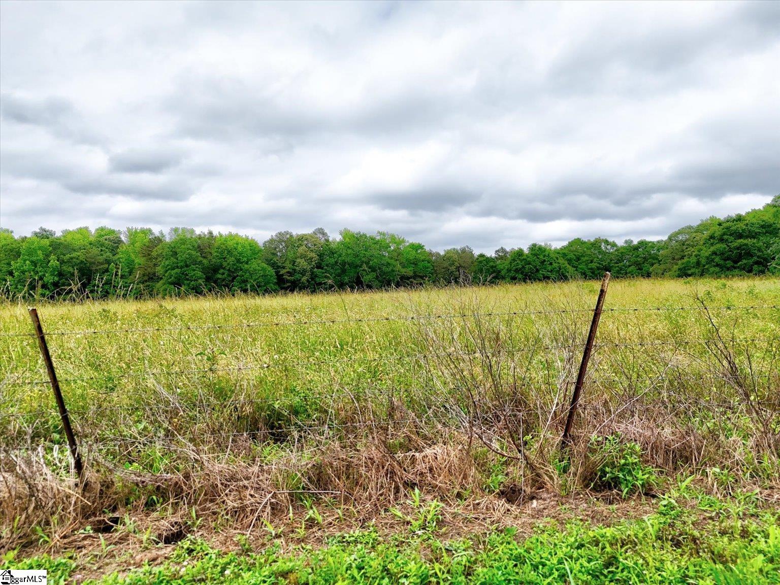 1411 Trail Road Belton, SC 29627 - Photo 35 of 47