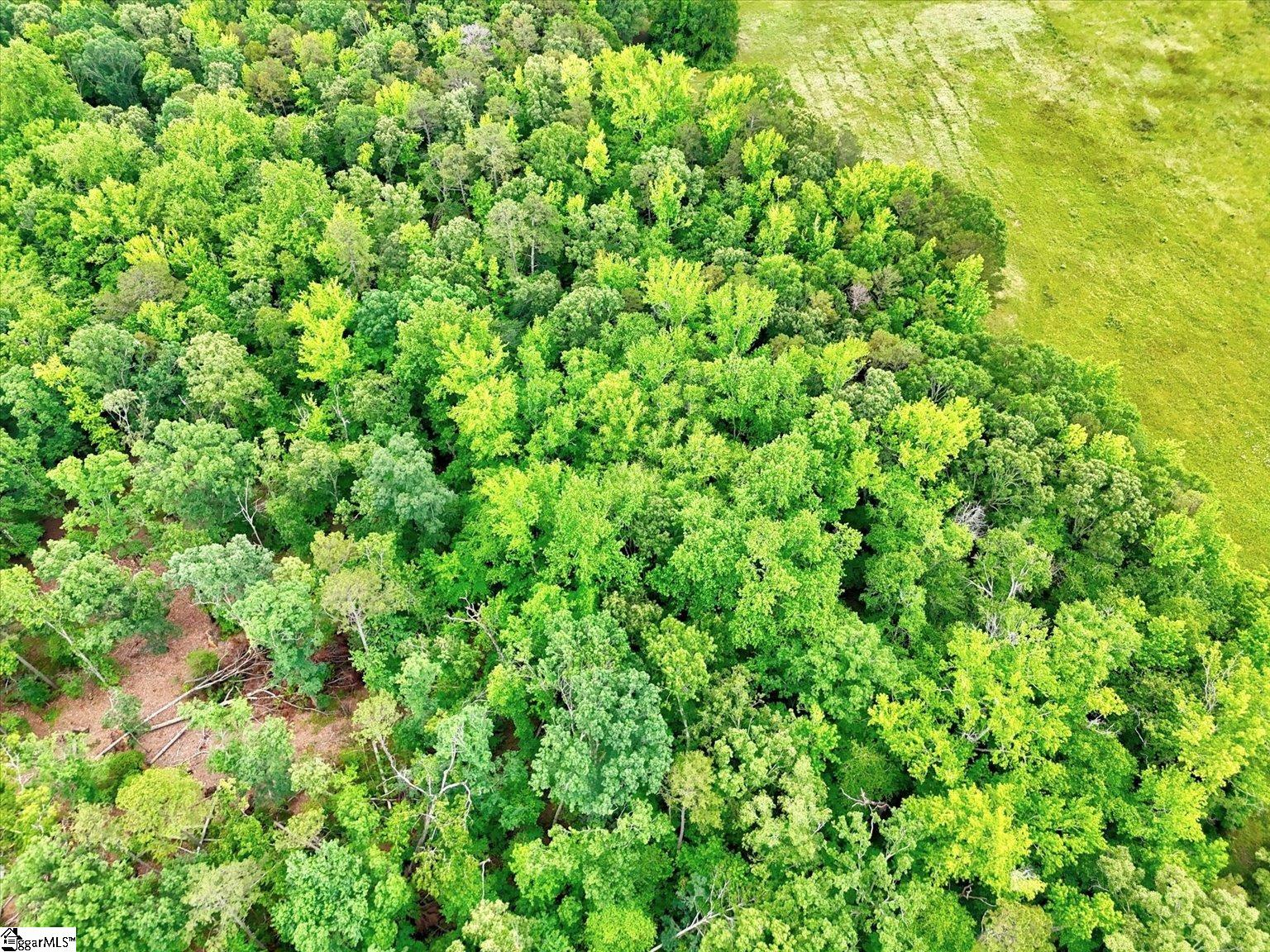 1411 Trail Road Belton, SC 29627 - Photo 38 of 47