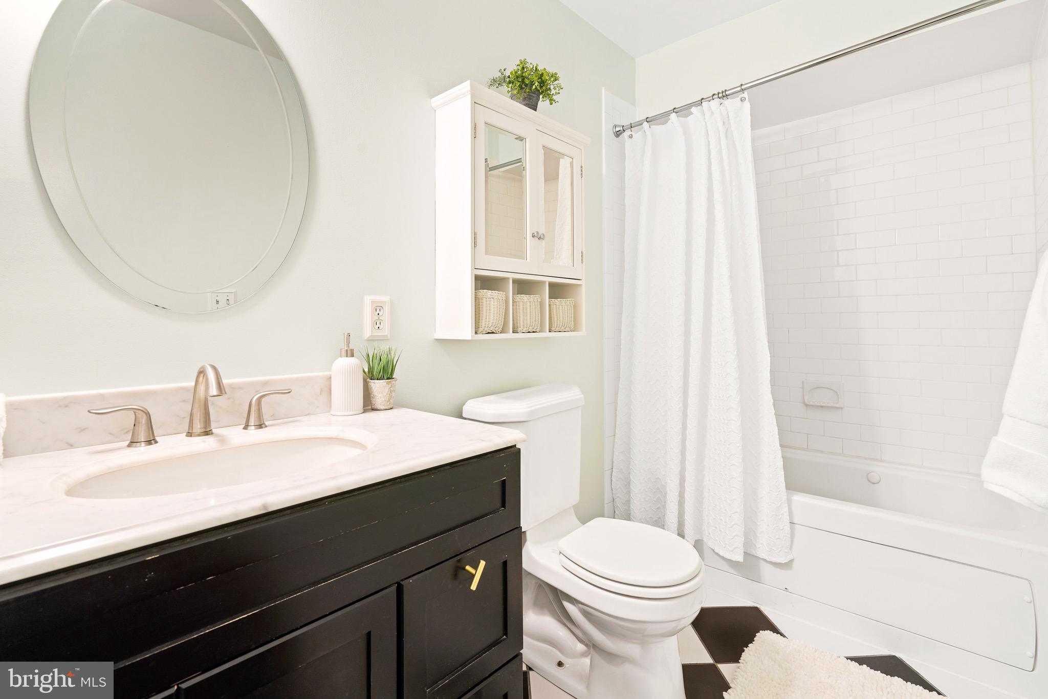 317 13th Street Southeast Washington, DC 20003 - Photo 12 of 24 primary Bathroom