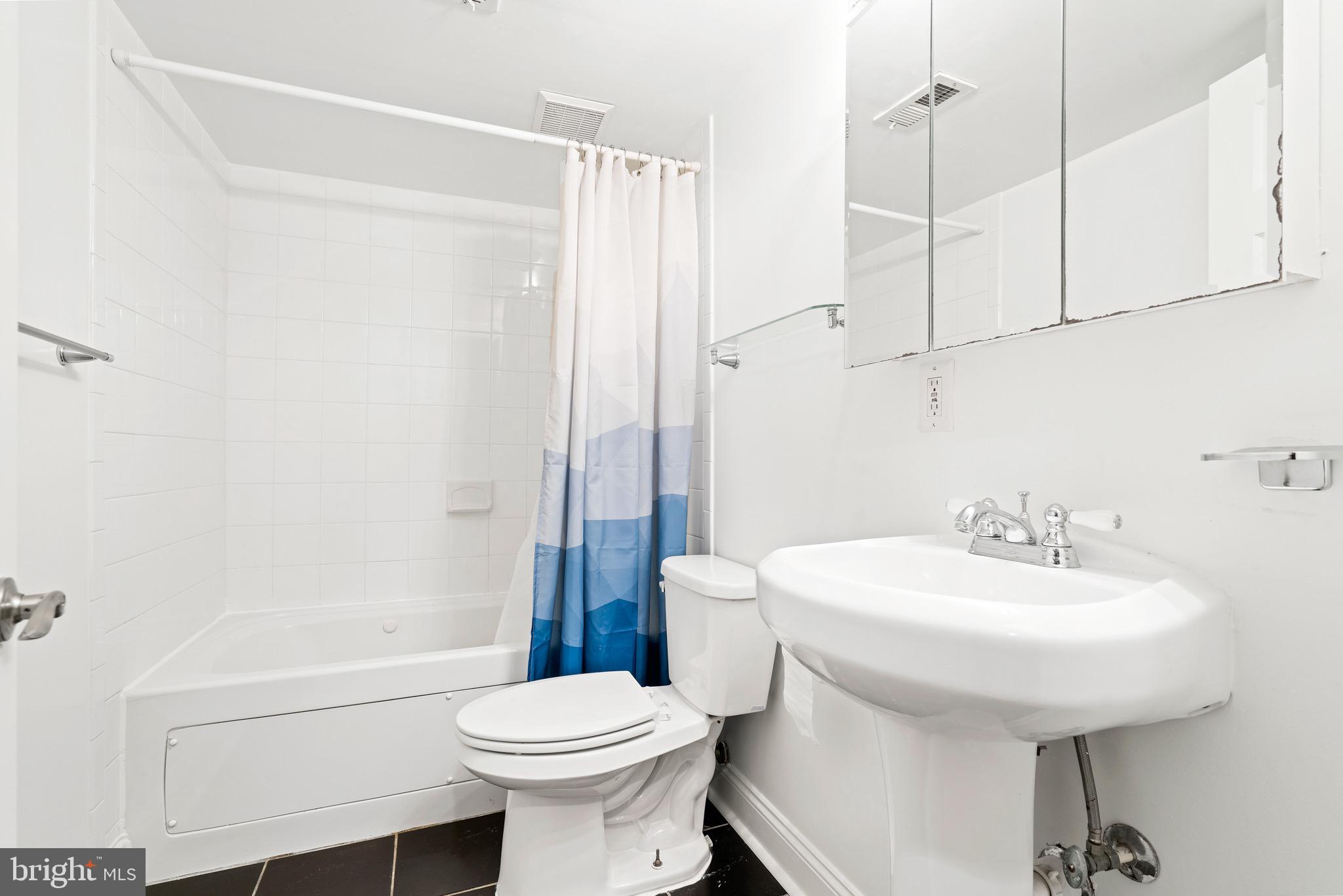 317 13th Street Southeast Washington, DC 20003 - Photo 19 of 24 Lower level bathroom #2